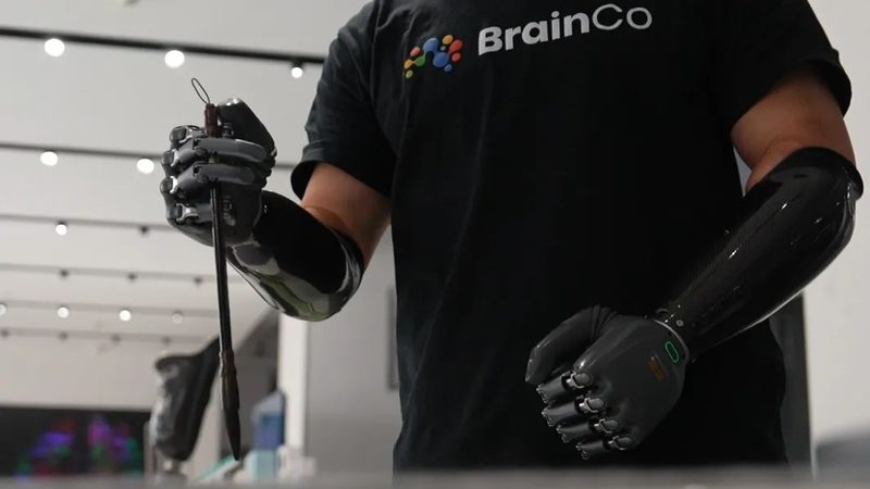 人工智能应用领域的分类与标准：深度解析与应用策略