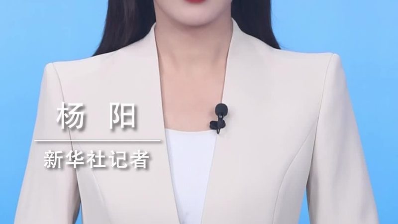 软件二次开发，技术选型的关键考量